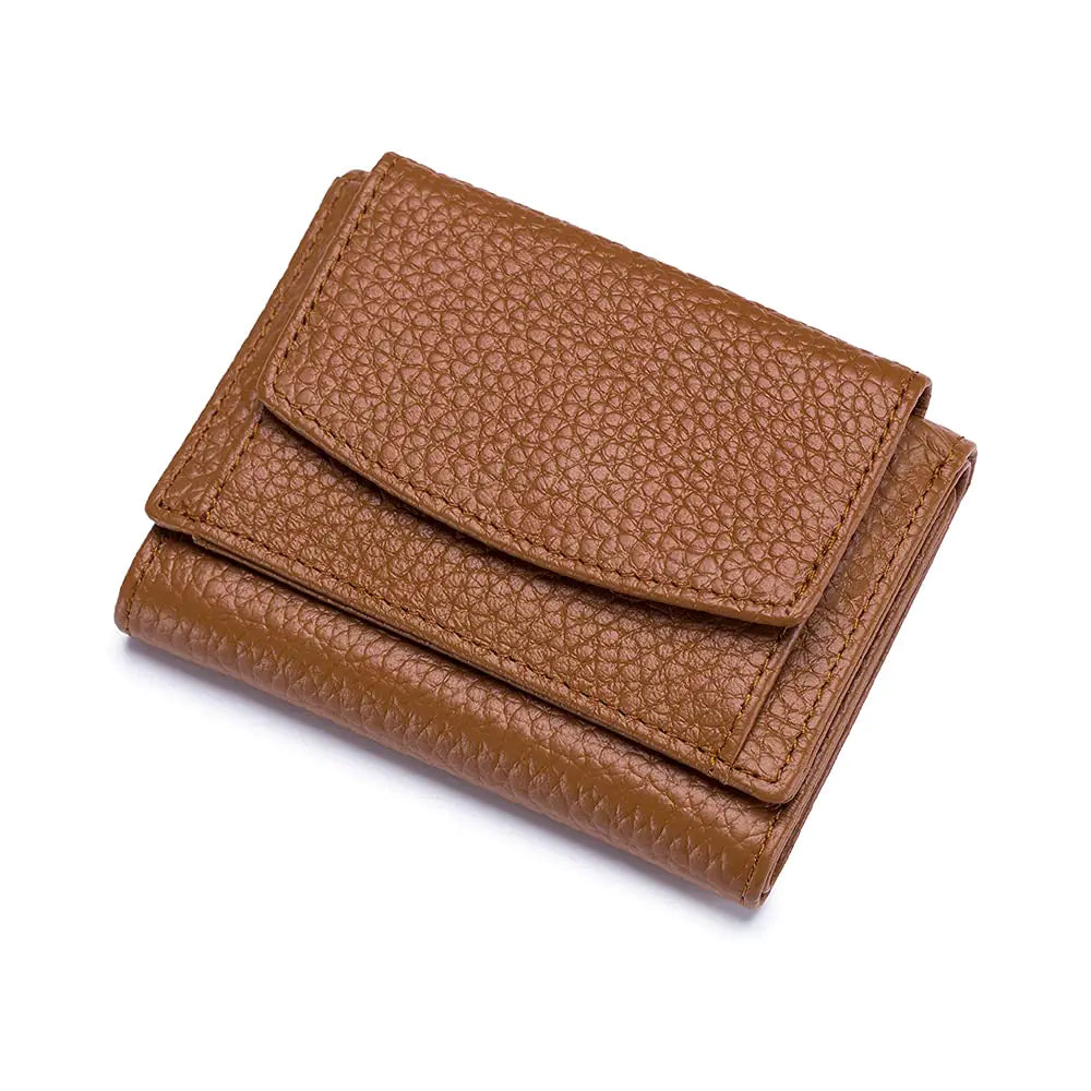 Chestnut Fold Classic